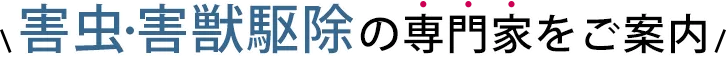 害虫駆除の専門家