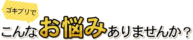 ゴキブリでこんなお悩みありませんか？