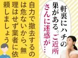 軒裏にハチの巣がある。駆除しないとご近所さんに迷惑が…