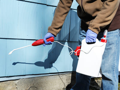 ゴキブリ駆除の薬剤を散布する写真