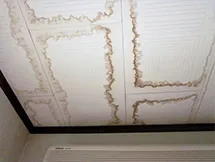 天井から雨漏り